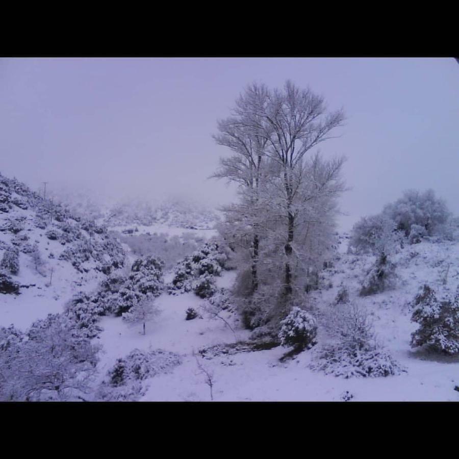 Villa Agno - Βίλα Αγνώ Ano Karies Kültér fotó